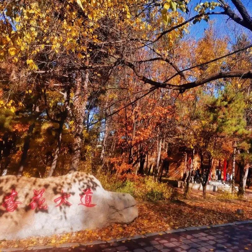 为什么篮球不同位置需要不同的训练重点_2